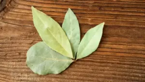 Foglie di alloro su una superficie di legno