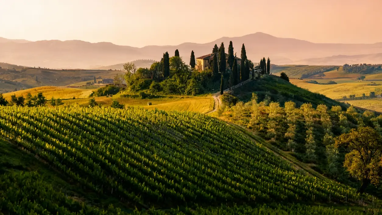 Paesaggio collinare al tramonto con vigneti e una casa colonica tra cipressi