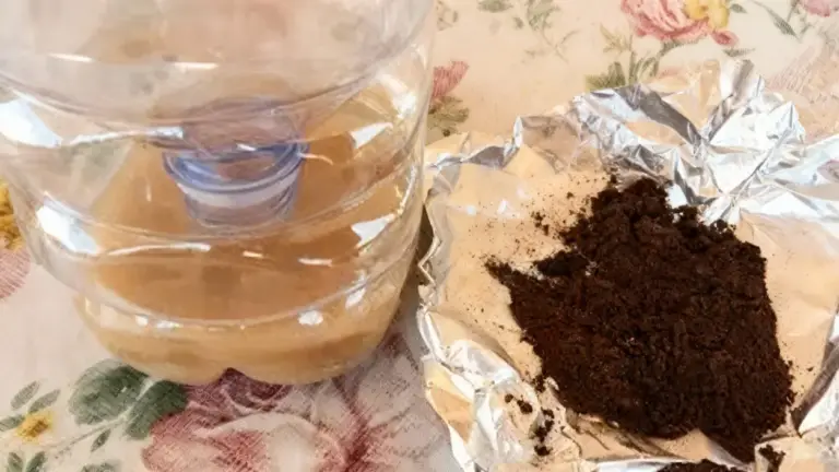 Trappola per zanzare fatta in casa con bottiglia di plastica e fondi di caffè su foglio di alluminio