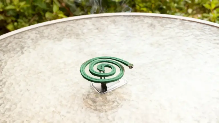 Spirale antizanzare accesa su un tavolo all’aperto